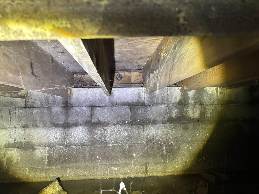 All Photos for The Guys Landscaping & Foundation Repairs LLC in Trenton, MI