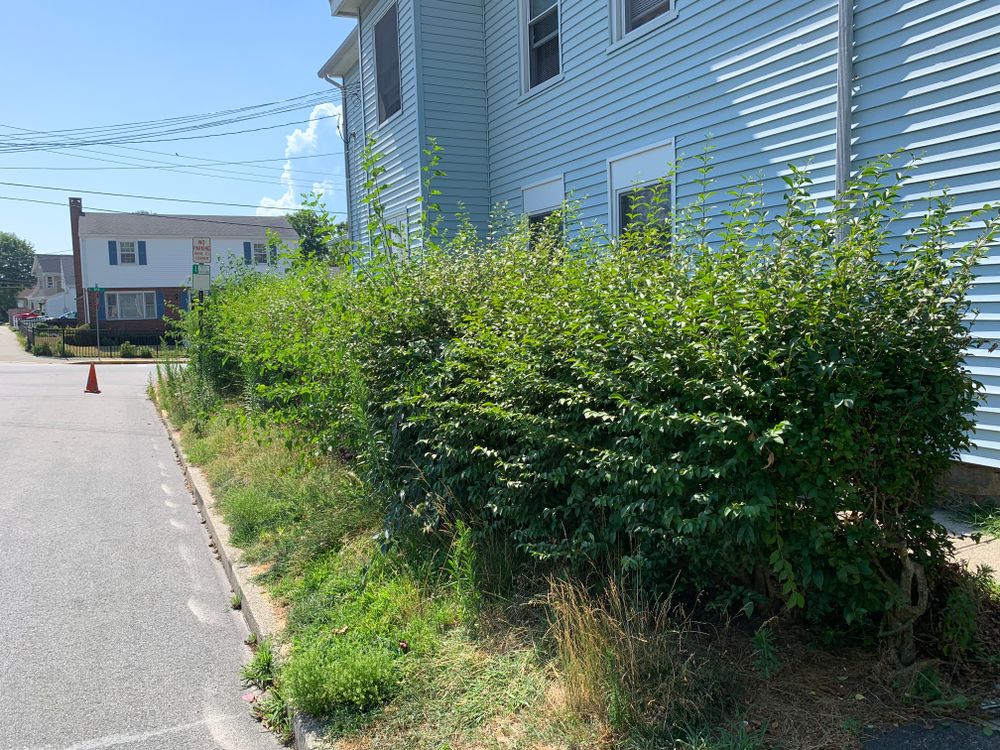 All Photos for Murray Mowing and More in Ashaway, RI