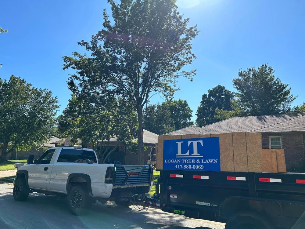 Tree Removal for Logan Tree Care LLC in Springfield, MO