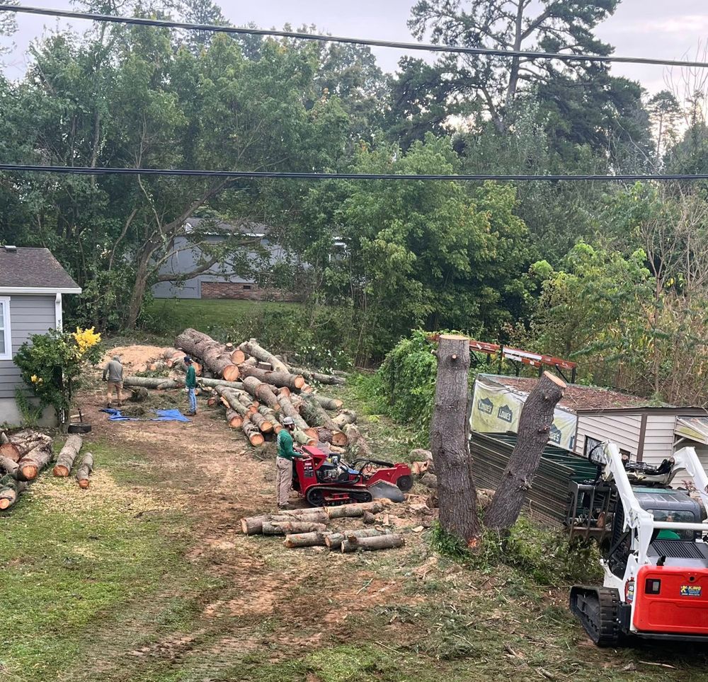 All Photos for Torres Tree Service and Landscaping in Hendersonville, NC