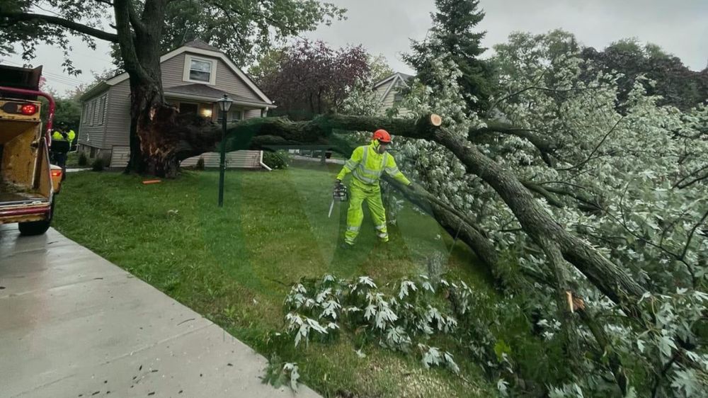 All Photos for Oakwood Tree Removal LLC in Oak Creek,  WI
