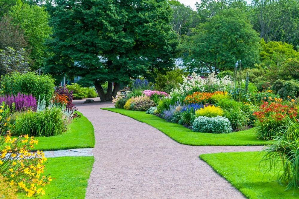 Our Landscaping Renovations service offers homeowners a complete solution for transforming their outdoor spaces, enhancing the beauty and functionality of their property. for Terra Heights Tree Experts & Landscaping  in Grass Valley,  CA