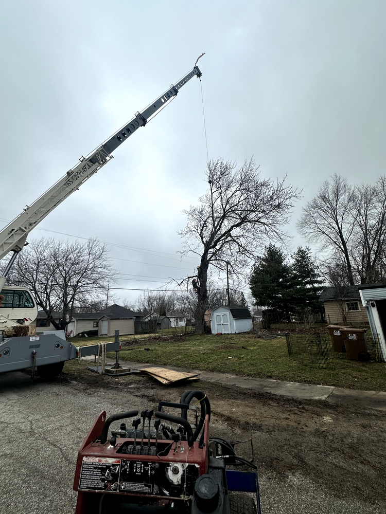 All Photos for Advanced Tree Solutions in Rockville, IN