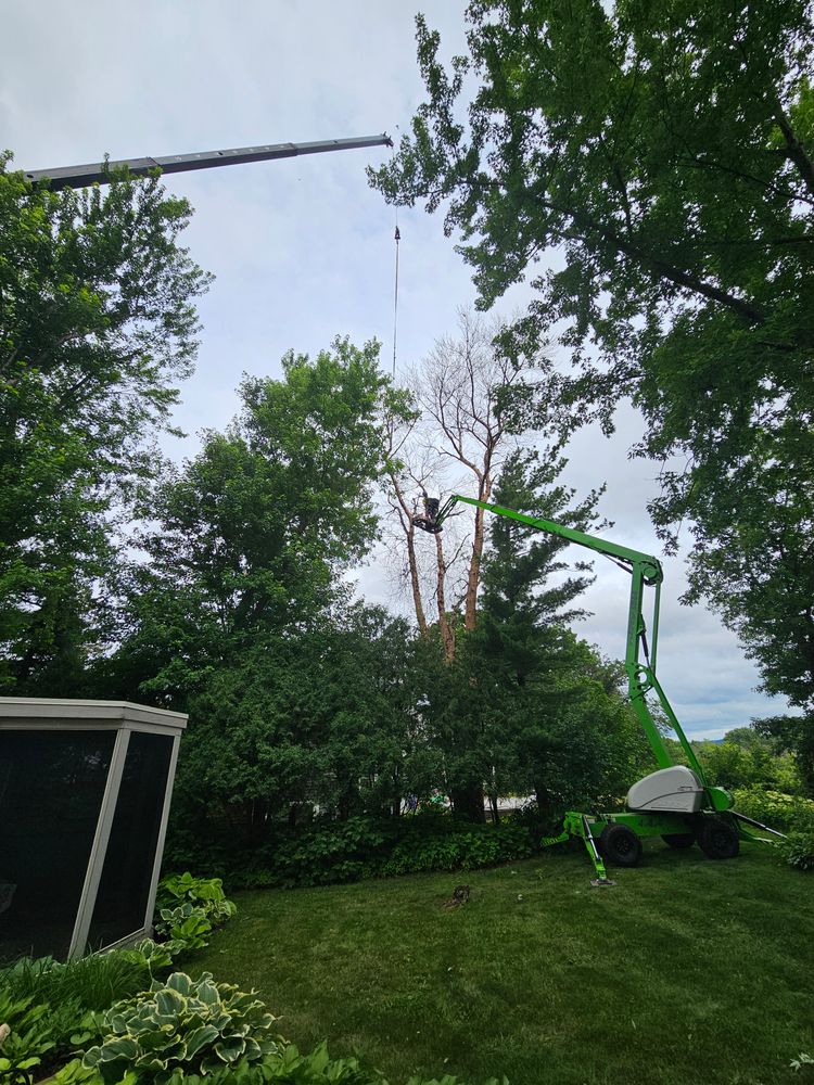 All Photos for Down To Earth Tree Service in Red Wing,  Minnesota