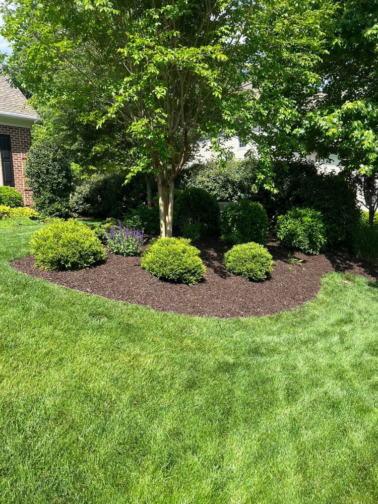 Lawn Care for KP Landscaping in Williamsburg, VA