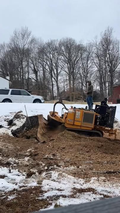 All Photos for A2Z Tree and Stump Removal in Charlotte, NC