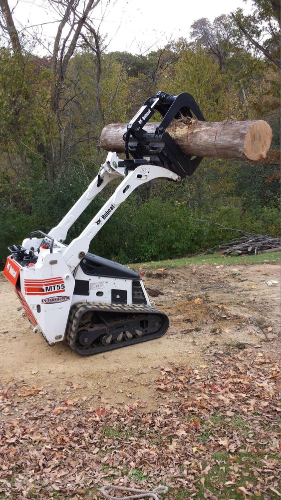 Tree Removal for Down To Earth Tree Service in Red Wing,  Minnesota