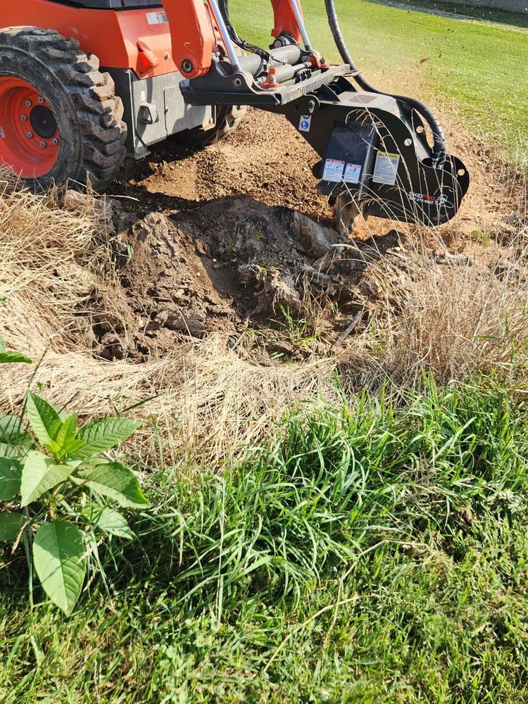 All Photos for I and R Stump Grinding in Thornville, OH