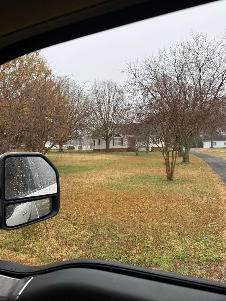 All Photos for Blue Sky Turf in Monroe, NC