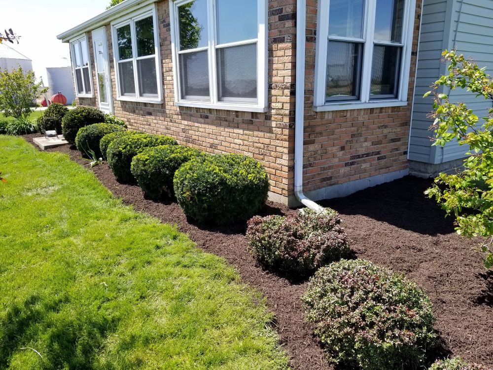 Enhance your landscape's vitality with our Tree & Shrub Care service, providing expert pruning, disease prevention, and nutrition management to promote healthy growth and vibrant outdoor spaces for your home. for Stout Mowing & Services LLC in Huntington, IN