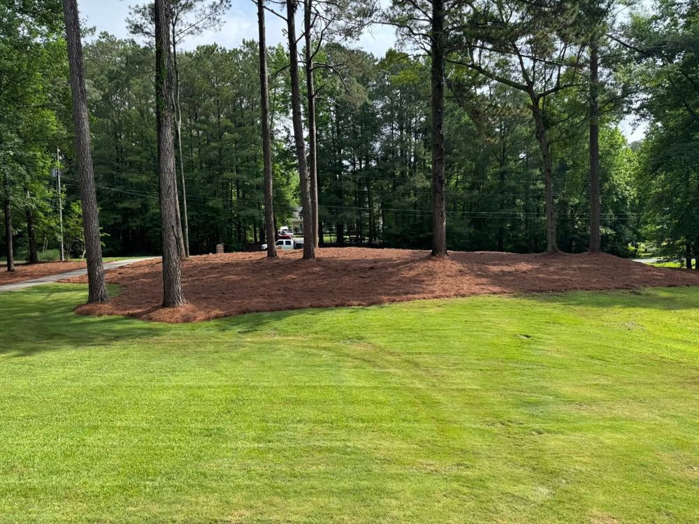 Transform your outdoor space with our professional lawn installation service, offering lush, green grass tailored to your needs for a vibrant and inviting landscape that enhances your home's curb appeal. for Tri-P Services in Athens, GA