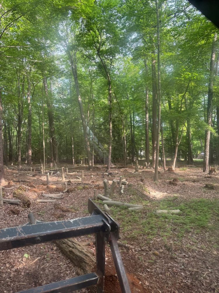 All Photos for Lewis Oaks Landscaping in King and Queen County, VA
