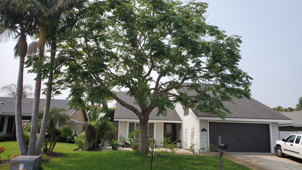 All Photos for Benito's Gardening in San Juan Capistrano, CA