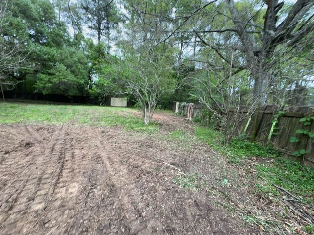 Tree Cleanup  for D&D Services of Pensacola in Pensacola, FL