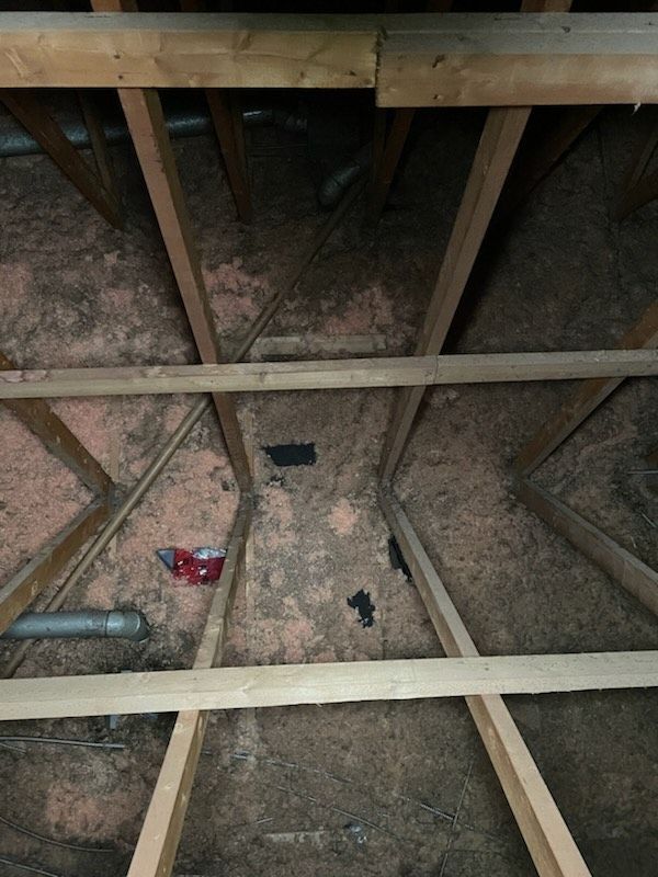 All Photos for Triumph Inc - Repair & Maintenance in Scarborough, ON