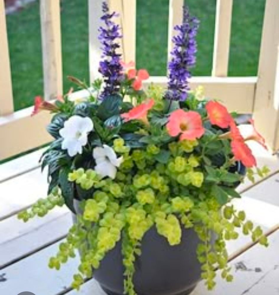 All Photos for Hightower Home Improvement and Garden in Atlanta, GA