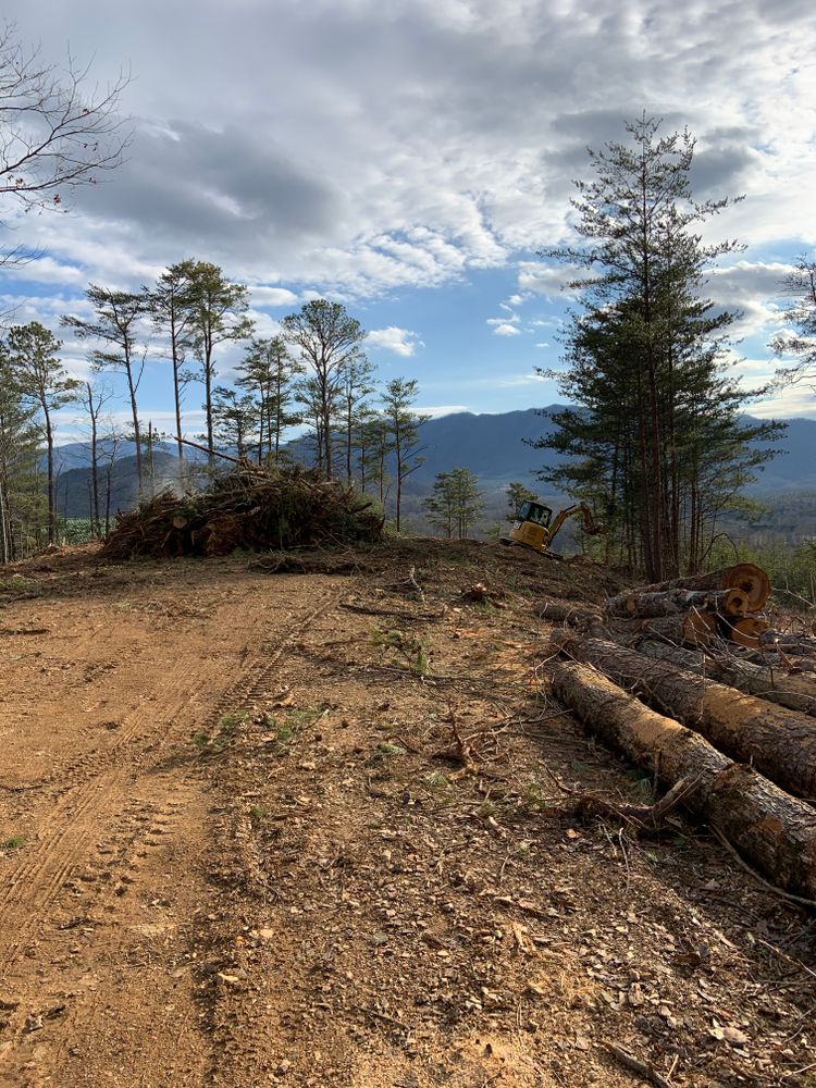 Clearing  for Holmes Septic Works LLC in Knoxville, TN 