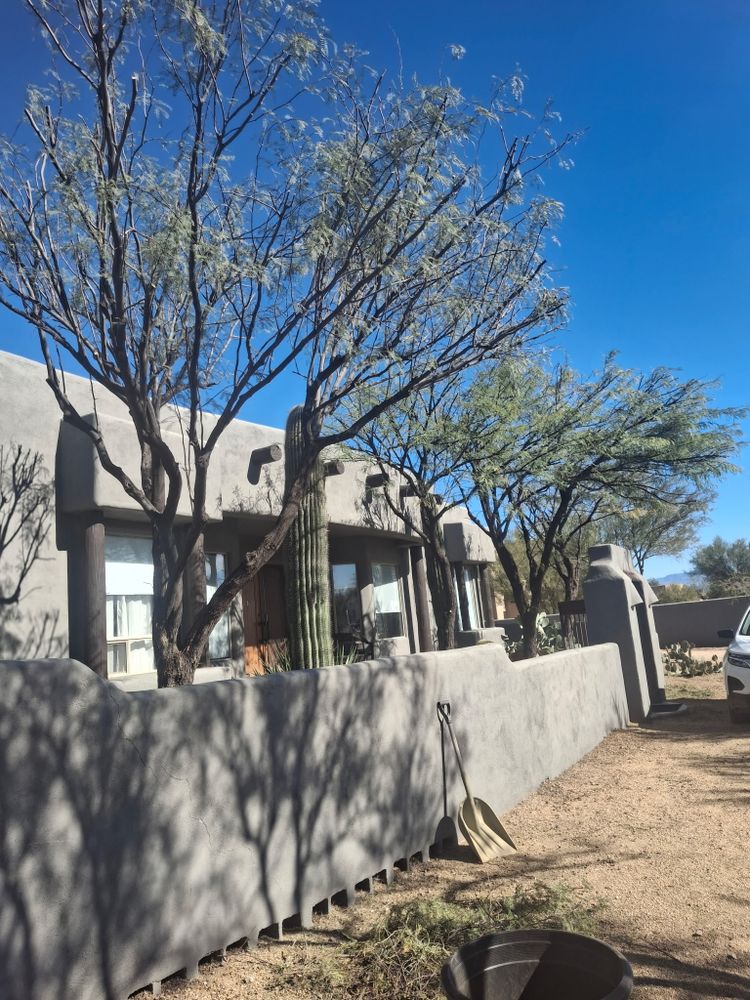 All Photos for Family Landscaping in Phoenix, AZ