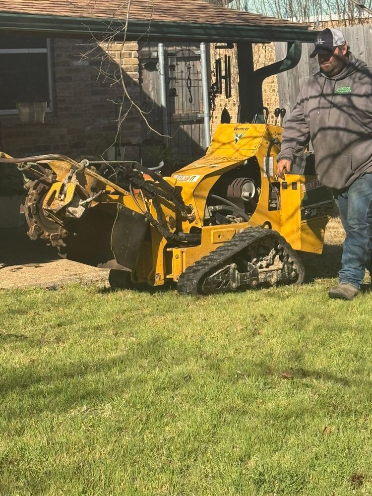 Tree Removal for Superior Lawn and Tree in Clifton, TX