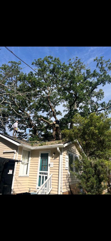 All Photos for Hawkins Tree Service & Land Management in Richmond Hill, GA