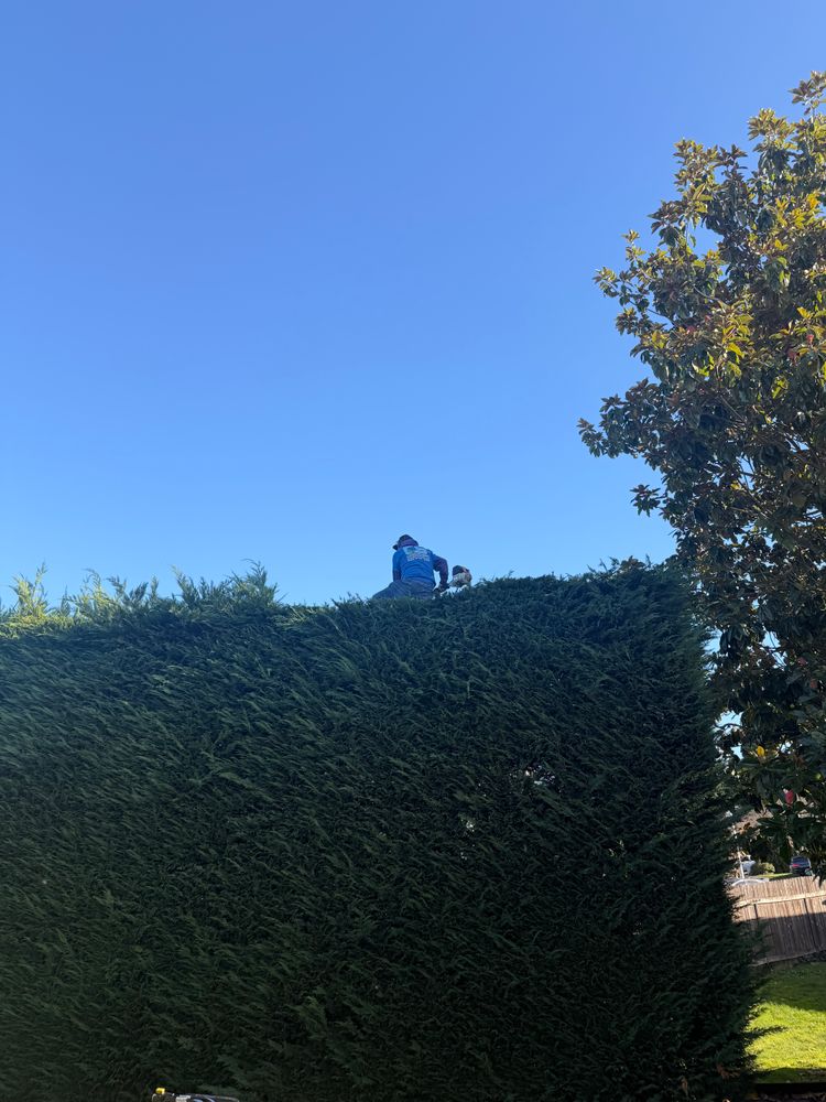 All Photos for Churape And Son's Landscaping in Vancouver, WA