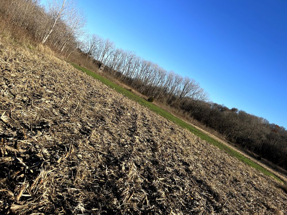 Land Services for Two Young Bucks in Leon, IA