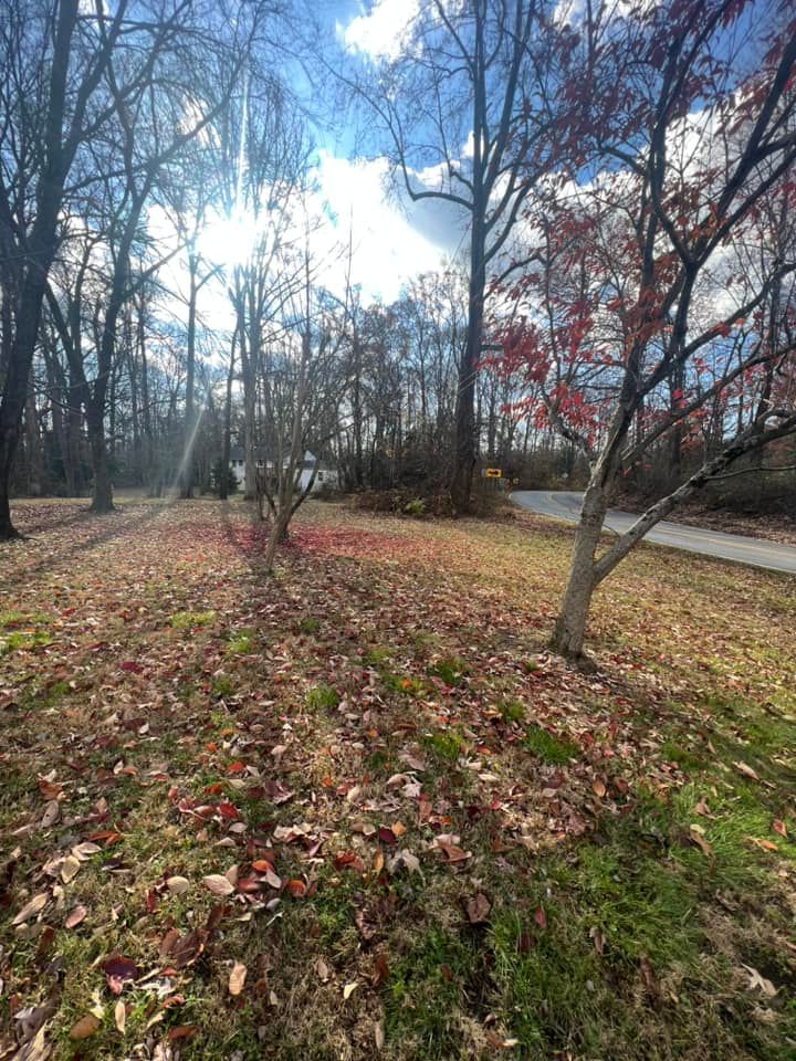 All Photos for Silburn Lawn & Landscape in Odenton, MD