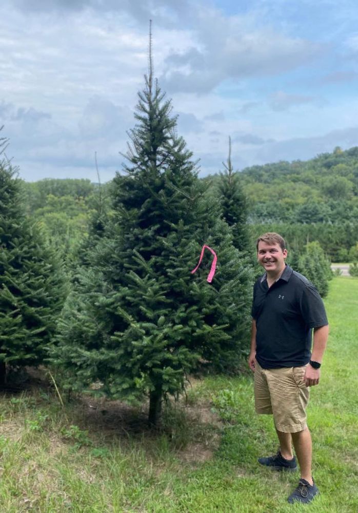 Discover our premium Black Hills Spruce at our Pre-Cut Tree Lot, perfect for your home. Our expertly curated selection offers stunning trees known for their lush greenery and enchanting holiday presence. for Spring Creek Evergreens in Red Wing, MN