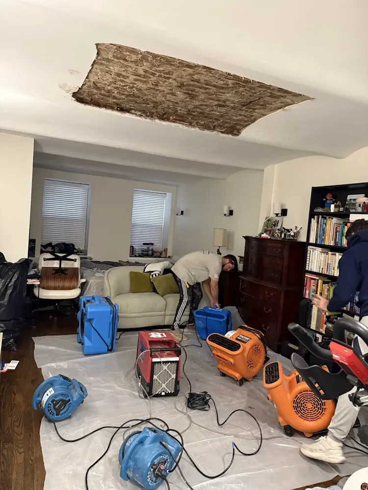 All Photos for CertaClean Restoration in Yonkers, NY