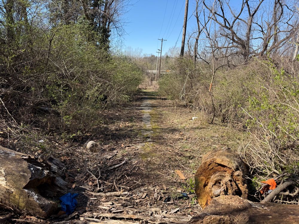 All Photos for A1 Bush Hogging & Lawn Service in London, OH