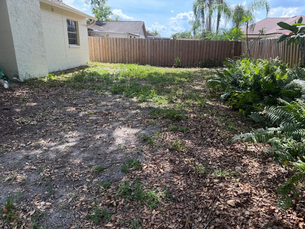 All Photos for The Yardman in Tampa, FL