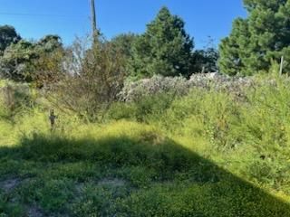 All Photos for Oviedo Land & Garden in Bastrop, TX