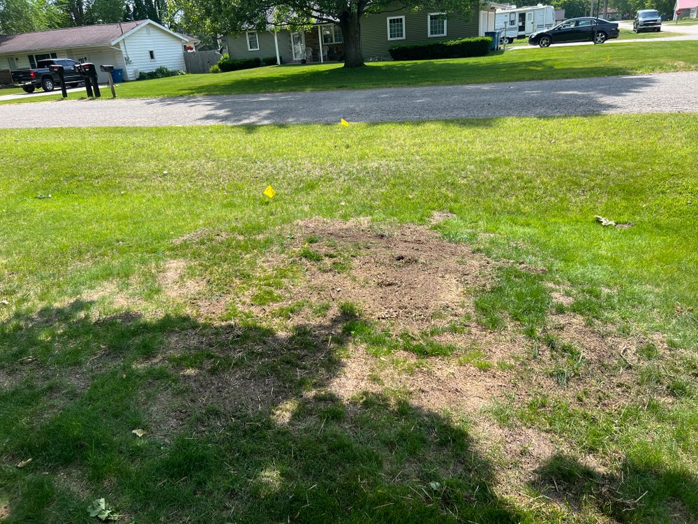 All Photos for Phillips Lawn Services in Ravenna, MI