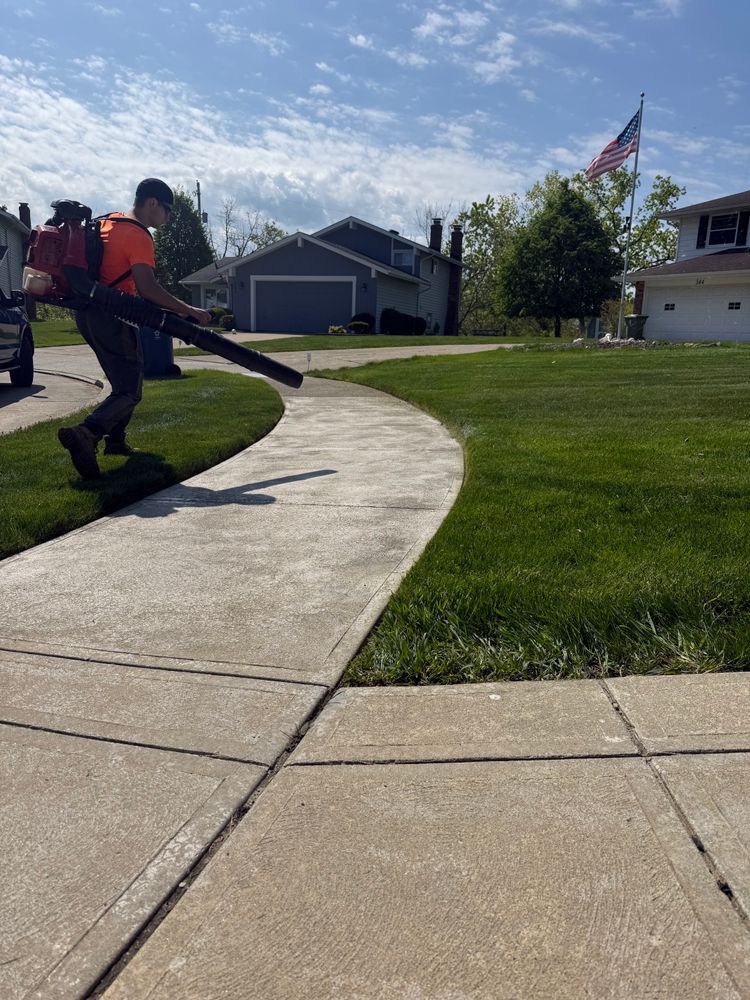 All Photos for Yard Theory in Willowick, OH