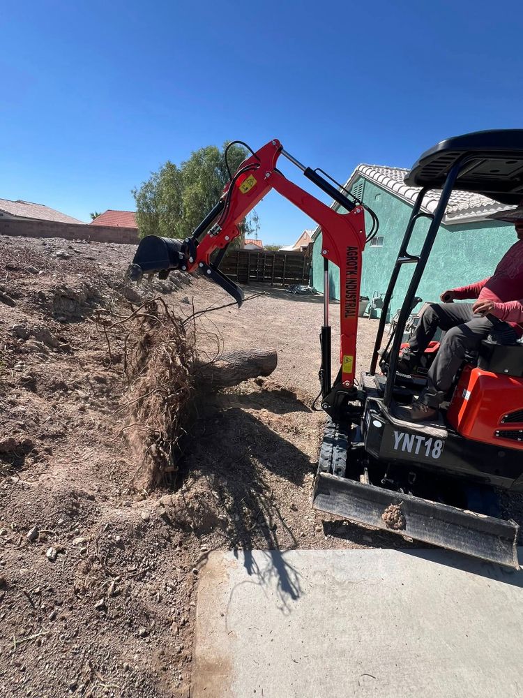 Our Tree and Stump Removal service ensures safe, efficient removal of unwanted trees and stumps, enhancing your landscape’s appearance while preventing potential hazards and promoting healthy growth for surrounding plants. for Top Notch Landscape Services in Mohave Valley, AZ