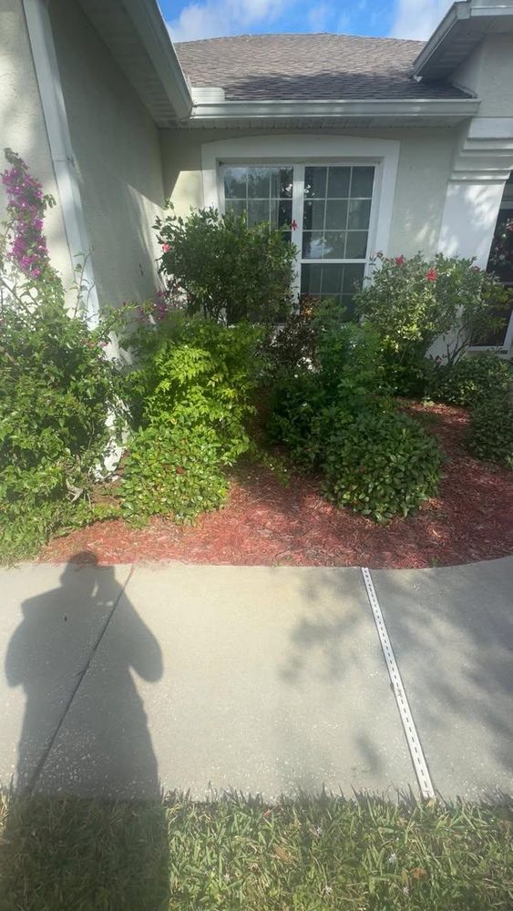 All Photos for Space Coast Property Maintenance and Management LLC in Brevard County, FL