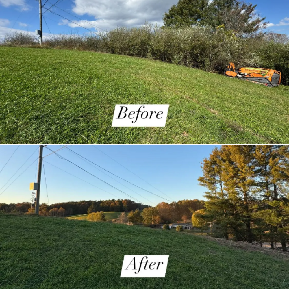 Before and Afters for Mountain Goat Land Management in Galax, VA