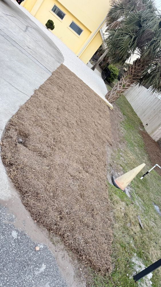 All Photos for Santos Landscape in Waycross, GA