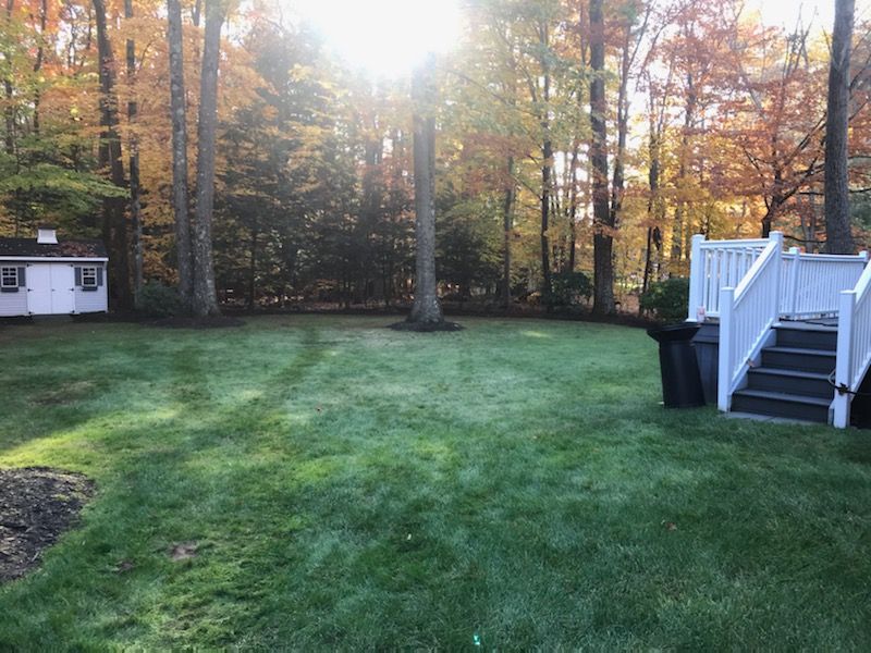 Fall Clean Up for Sosa Landscaping and Gardens, LLC in Clifton Park, New York