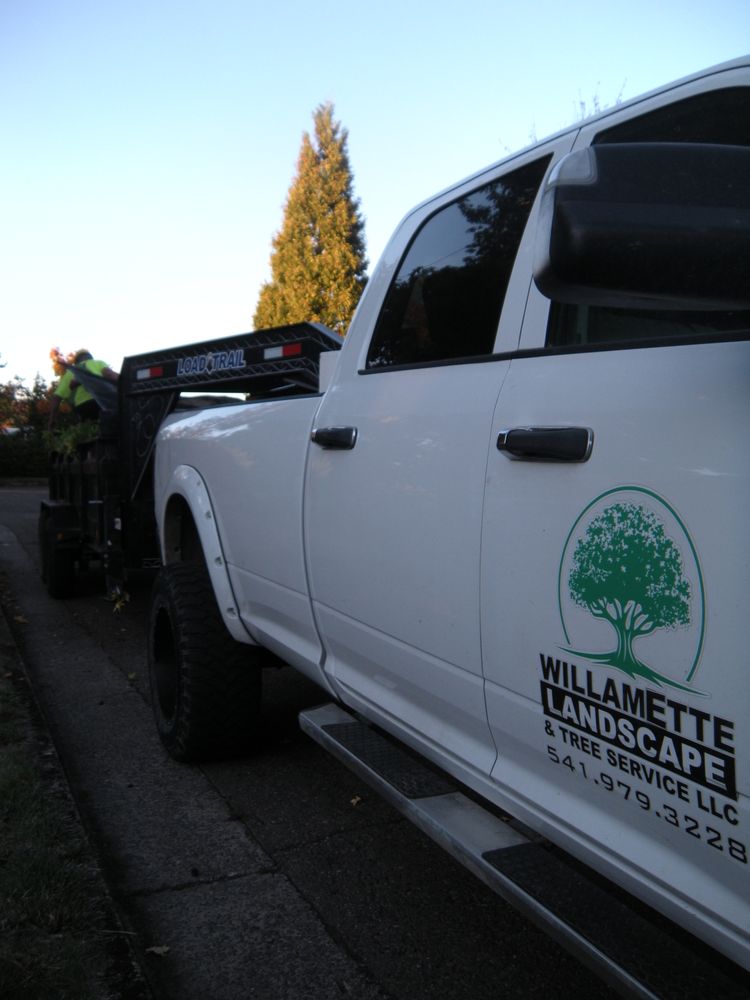 All Photos for Willamette Landscaping and Tree Services in Albany, OR
