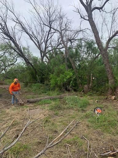All Photos for Braun Tree Service  in Floresville, Texas