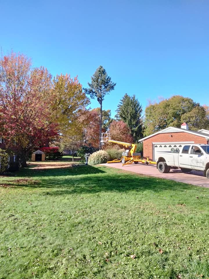 Tree Trimming for Billiter's Tree Service, LLC in Rootstown, Ohio