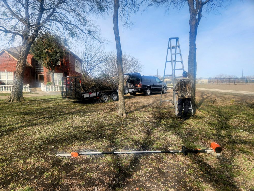 Enhance your property's beauty and health with our expert tree pruning service, ensuring safety, promoting growth, and increasing curb appeal by removing dead or hazardous branches efficiently. experience professional care for stunning landscapes. for Lavon Lawn Plus in Lavon, TX