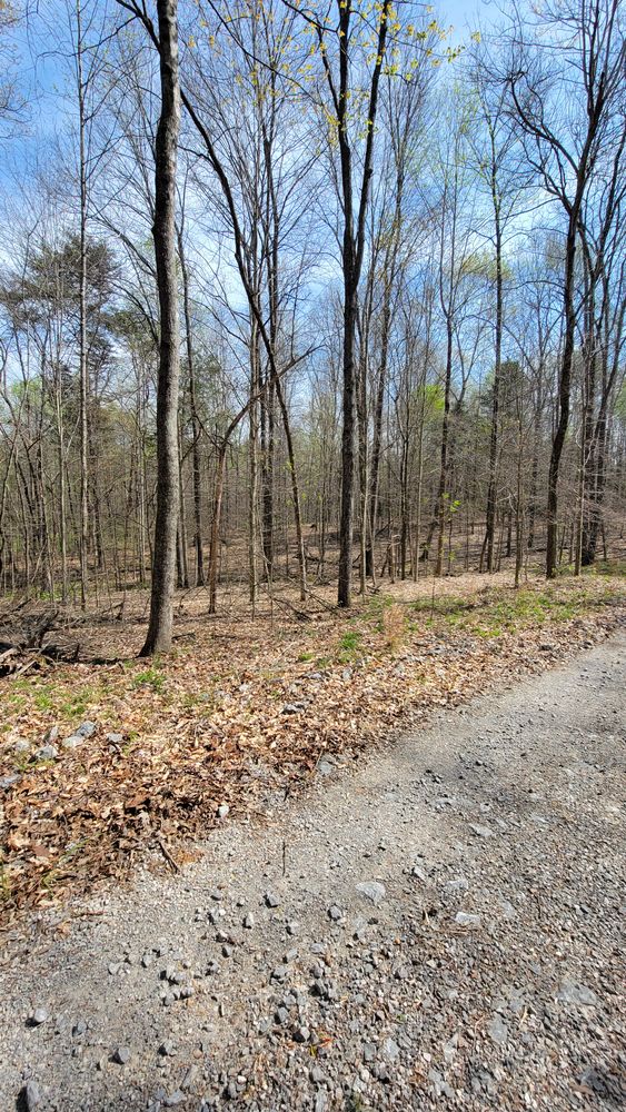 All Photos for Z's Land Management & Forestry Mulching in Smithville, TN