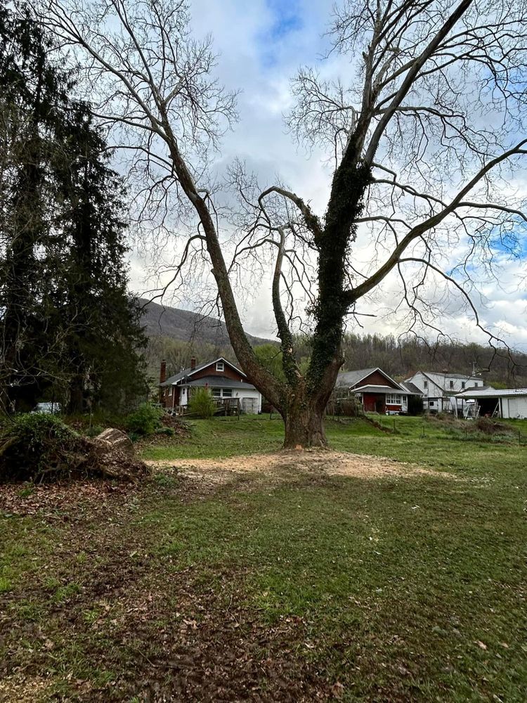 All Photos for NRV Tree Pro, LLC in Narrows, VA