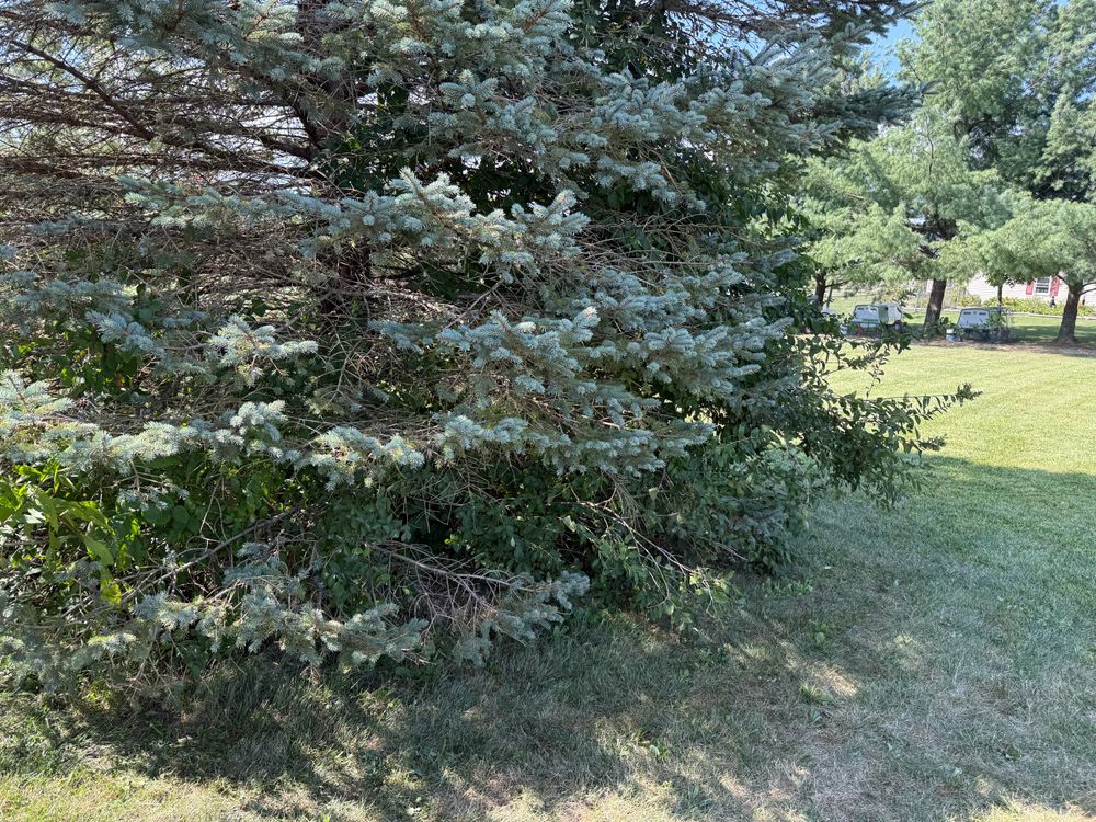 All Photos for F&R Landscapes LLC in Lagrange, OH