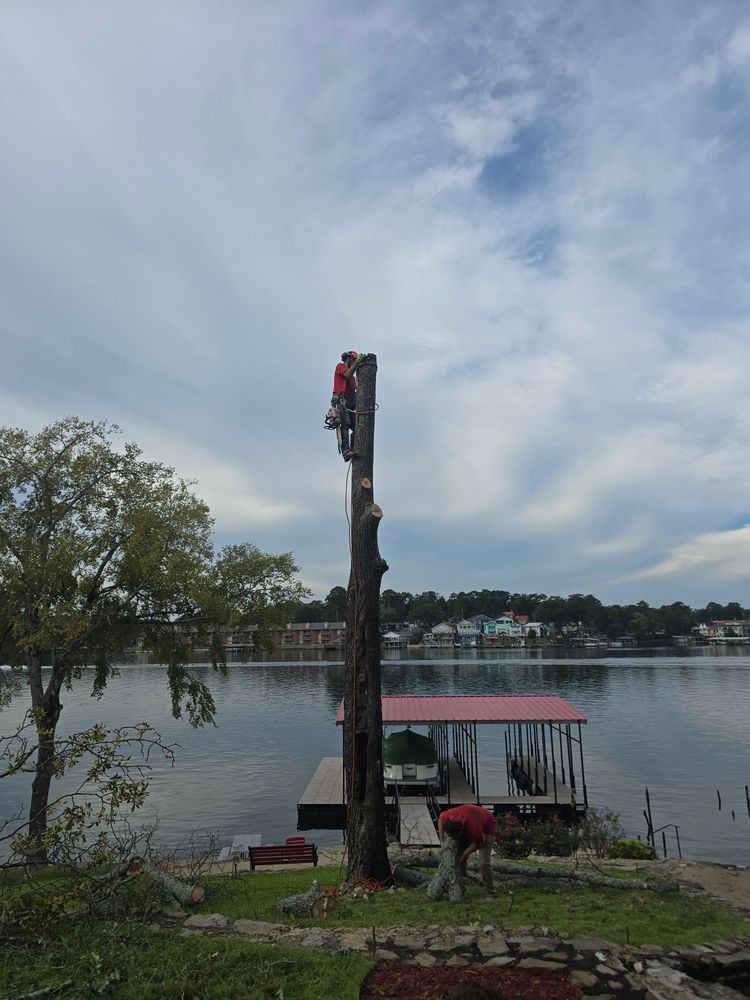 All Photos for Paquette's Tree Service in Malvern, AR