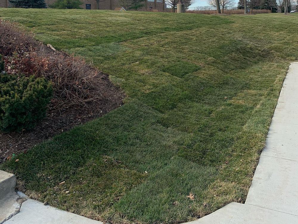 Lawn Care for From the Ground Up Landscaping & Lawncare in New Lenox, IL