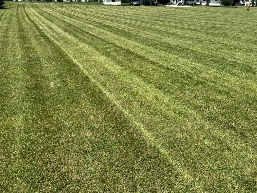 Landscaping Lawn Care for Daugherty's Tough Lawn Care in Essexville, MI