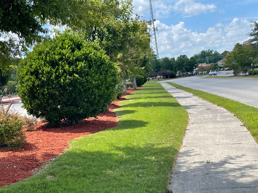 Landscaping for A&A Property Maintenance in Jacksonville, NC